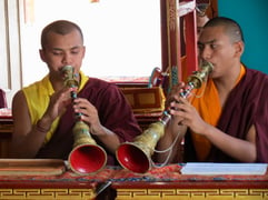 Image 2026-08-02 at 8.03.19 PM